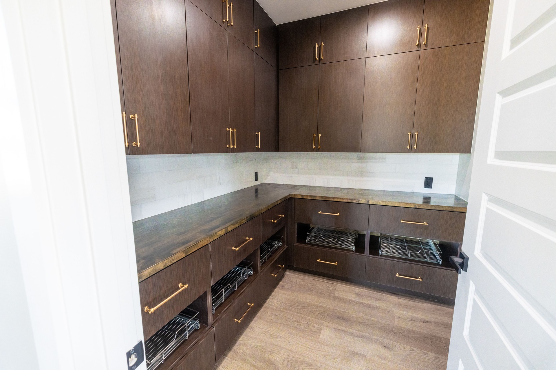 Pantry in a Modern Luxury Home